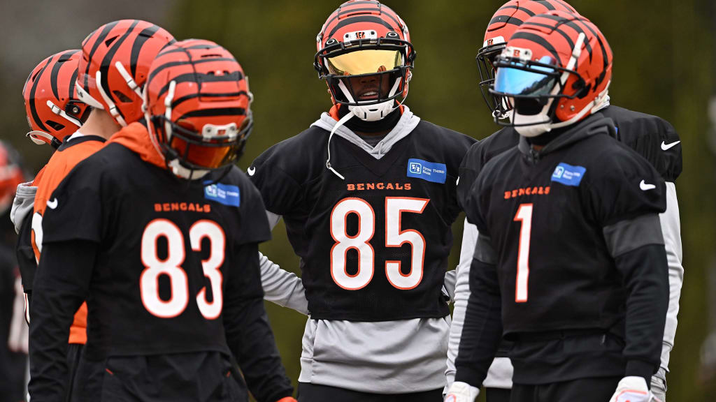 Bengals Beat: Tee Higgins Ready For More 'Big Moments', Believes Bengals  Ready To 'Show World Who We Are' In Buffalo - CLNS Media