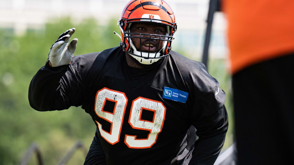 Ogunjobi big part of Bengals' defensive transformation