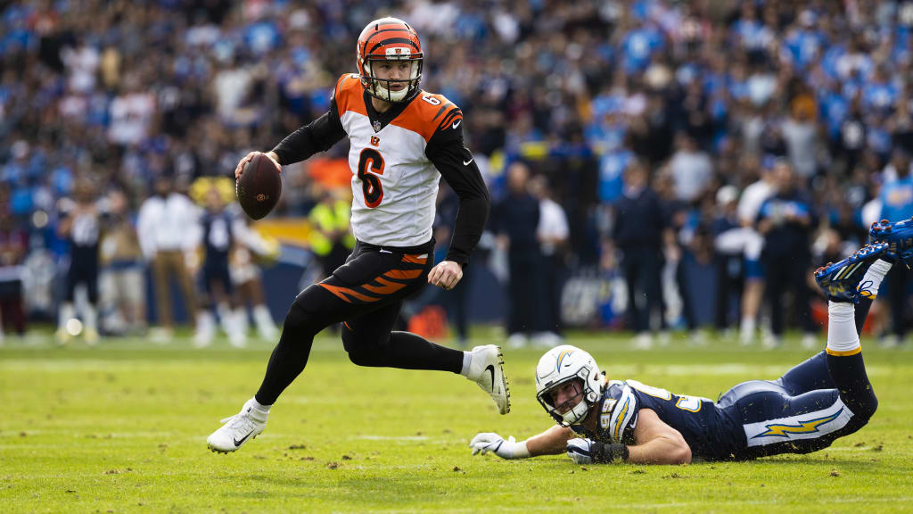 Cincinnati Bengals Quarterback Jeff Driskel 6 Editorial Stock Photo - Stock  Image