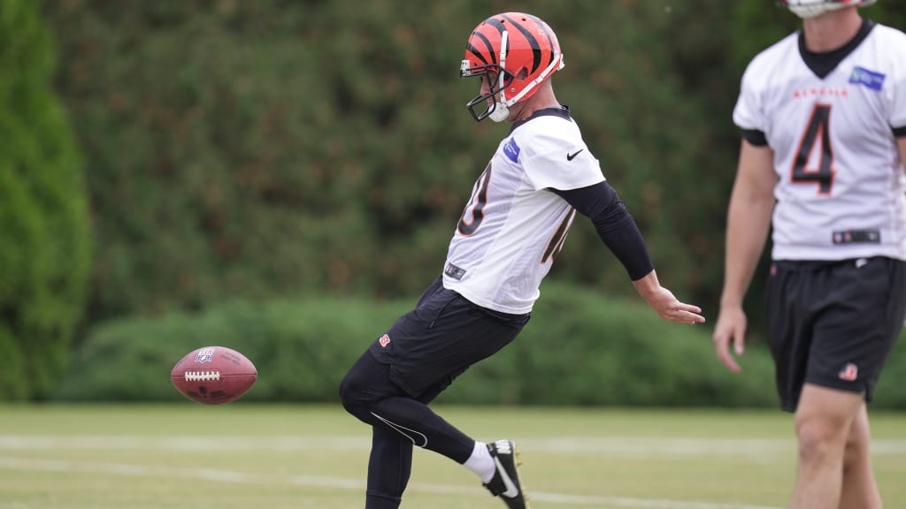 Bengals sign quarterback to practice squad and release punter