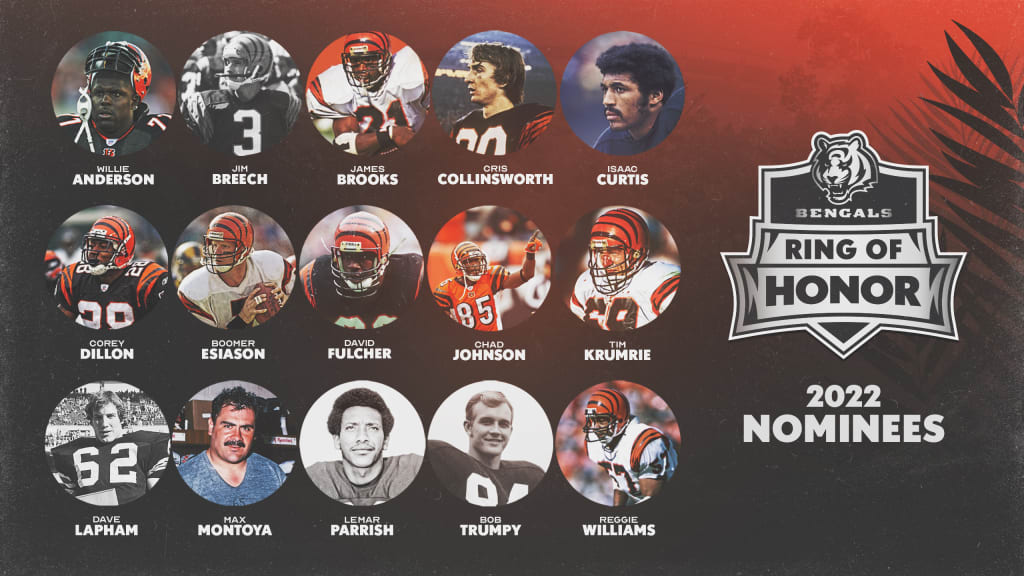 Bengals Ring of Honor 2022 Voting Starts Today