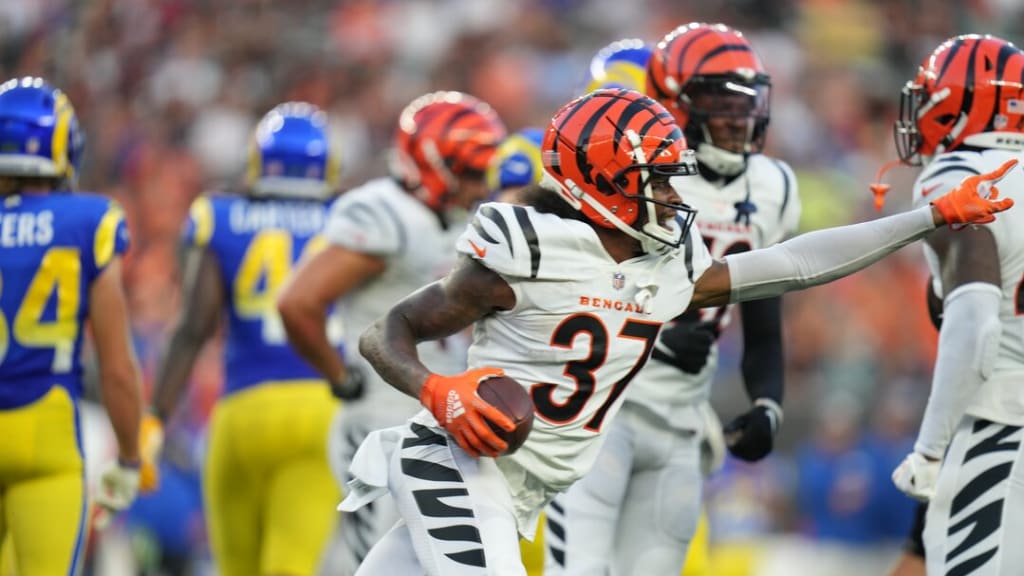 Cincinnati Bengals defensive end Cam Sample (96) looks on during warmups  before a preseason NFL football game against the Los Angeles Rams,  Saturday, Aug. 27, 2022, in Cincinnati. (AP Photo/Emilee Chinn Stock