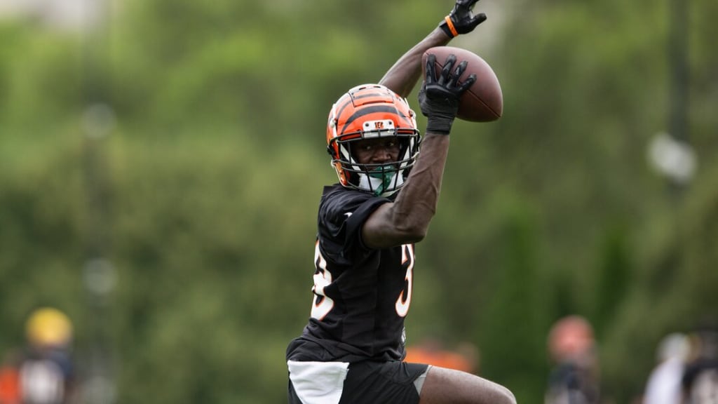 Cincinnati Bengals grab Miami Hurricanes cornerback DJ Ivey in