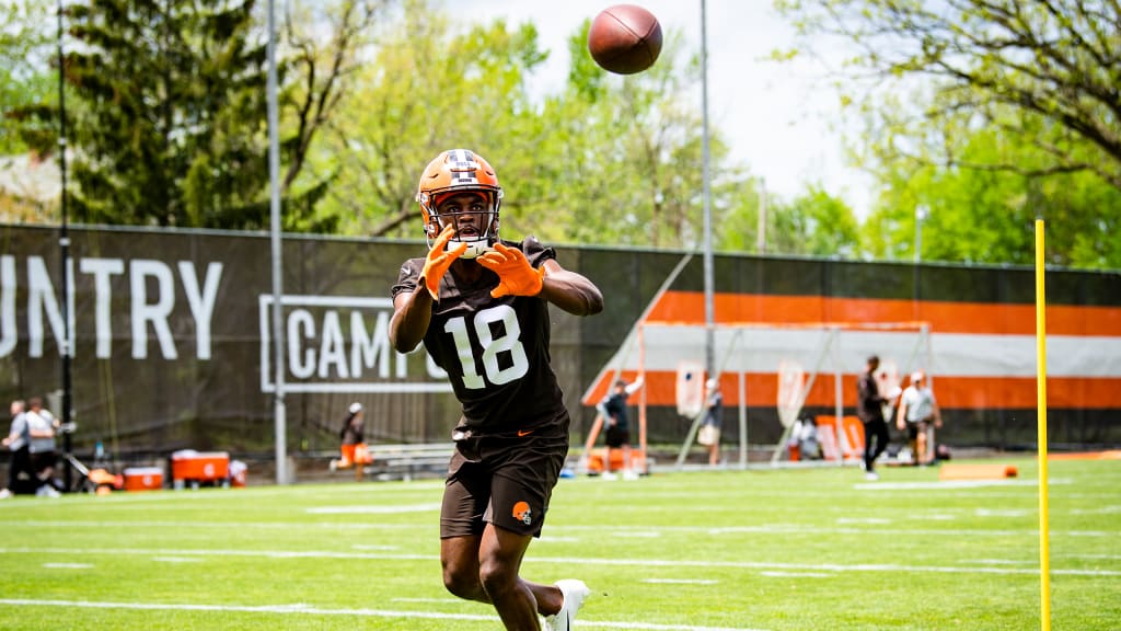 Receiver David Bell 'pushes through' rookie year with Browns