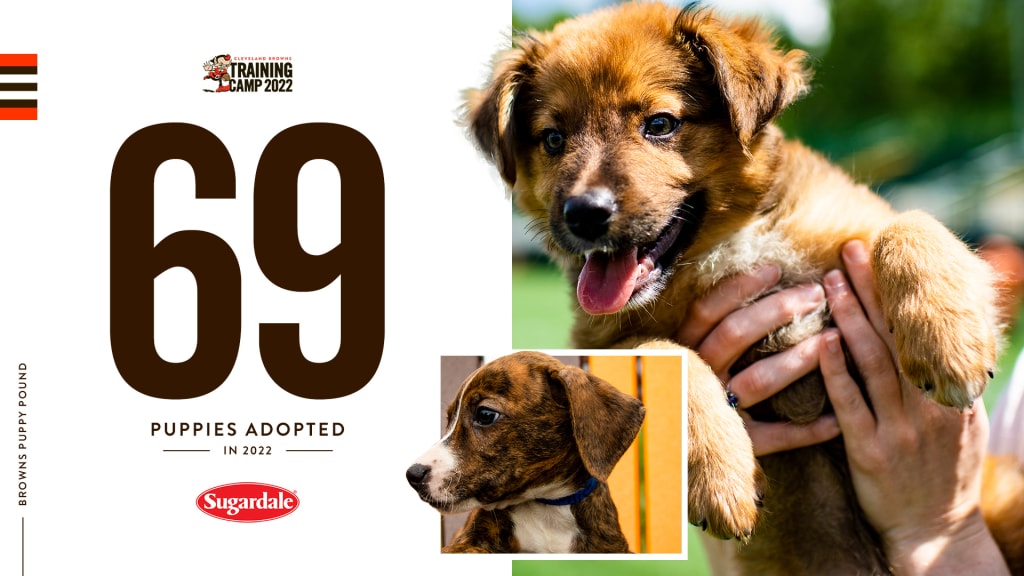 69 Puppies adopted from Puppy Pound at 2022 Browns Training Camp