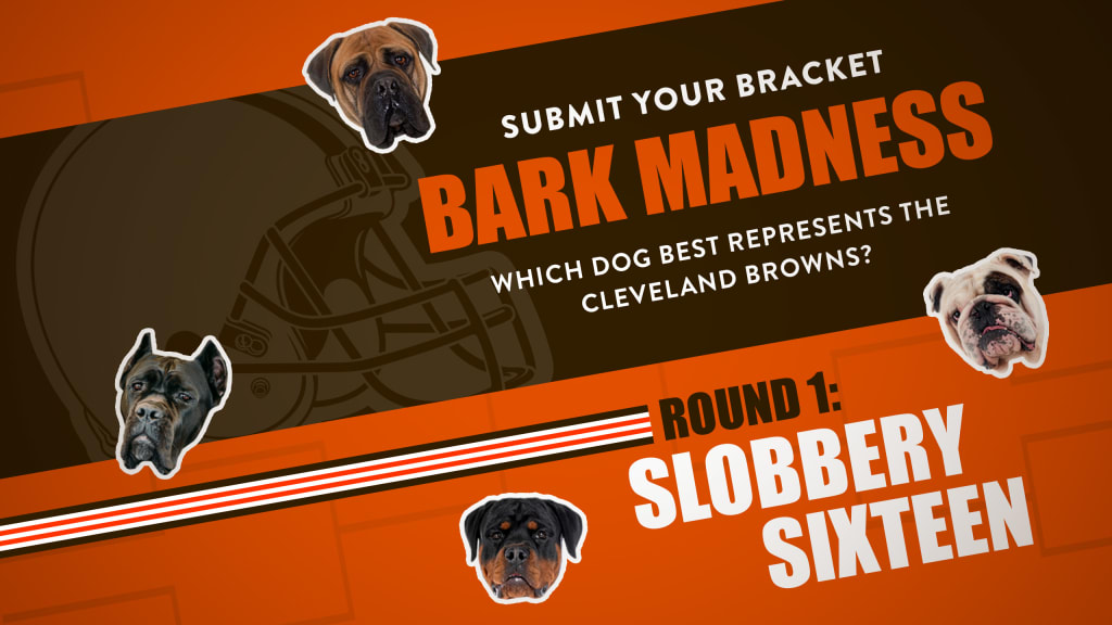 Which dog best represents the Browns?