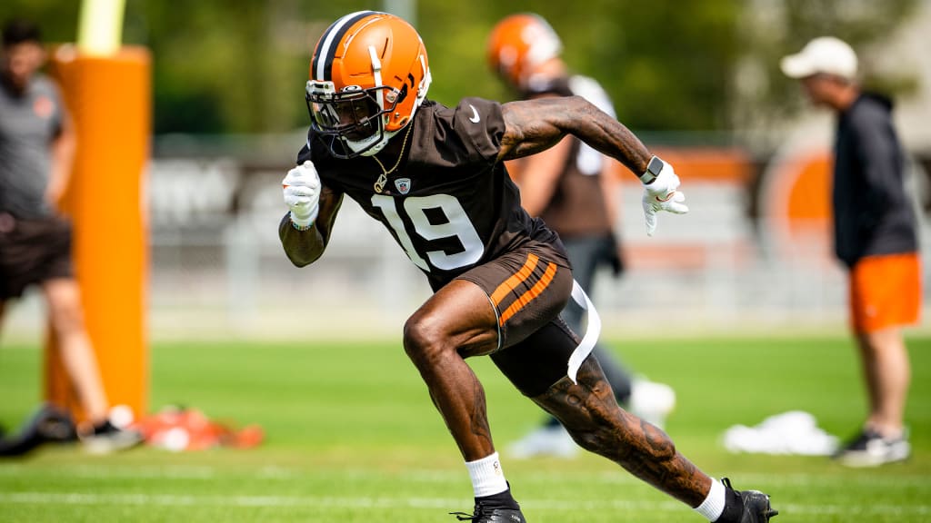 WATCH: Bills WR Goodwin makes Browns fan's night, gets family tickets