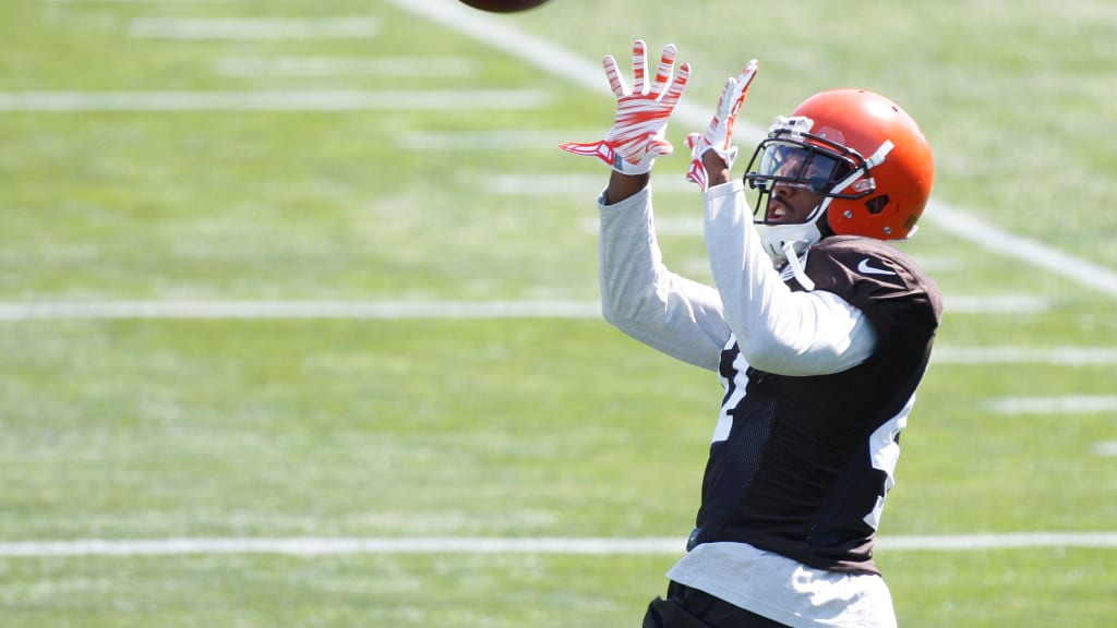 Jeremiah McKinnon hopes to 'paint' his name on Browns' 53-man roster