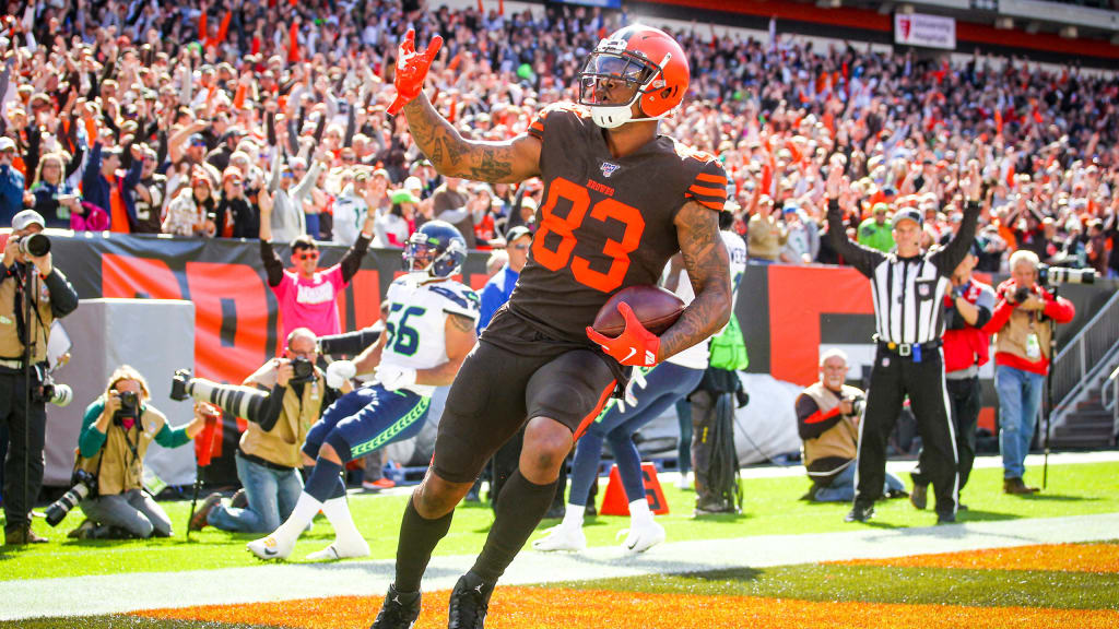 Grading the Browns' tight ends: Ricky Seals-Jones making most of  opportunity 