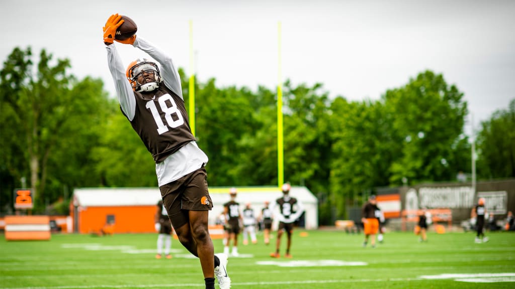 Browns rookie receiver David Bell had a strong debut but lamented