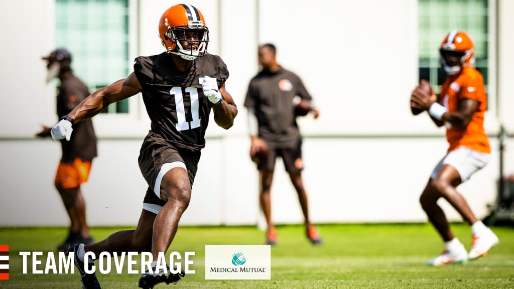 Peoples-Jones likely to play a bigger role on the Cleveland Browns' offense  in 2021