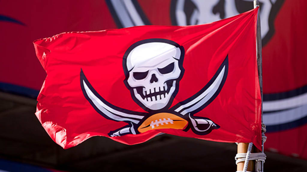 Download Tampa Bay Buccaneers US Flag Wallpaper