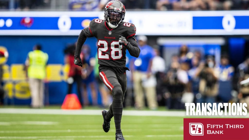 Tampa Bay Buccaneers cornerback Rashard Robinson (28) walks off