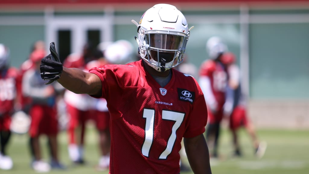 Arizona Cardinals' Brice Butler seeks role behind Larry Fitzgerald