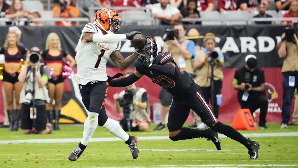 NFL Week 15 Game Recap: Cincinnati Bengals 34, Tampa Bay