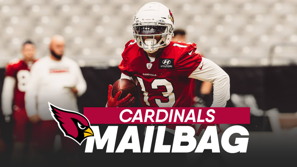 Arizona Cardinals give back to a fan in need