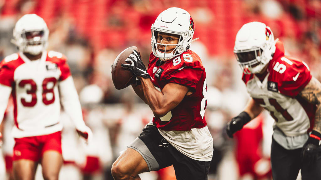 Arizona Cardinals looking to unleash Rondale Moore with more