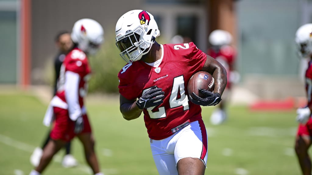 Darrel Williams Brings Success Experience To Cardinals