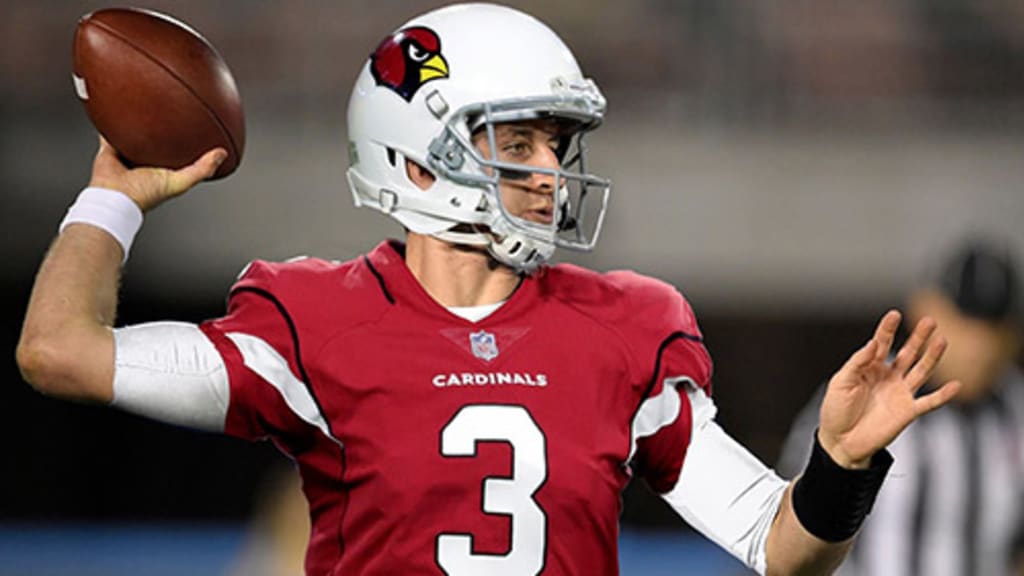 Arizona Cardinals: Carson Palmer Honored With A Football Life