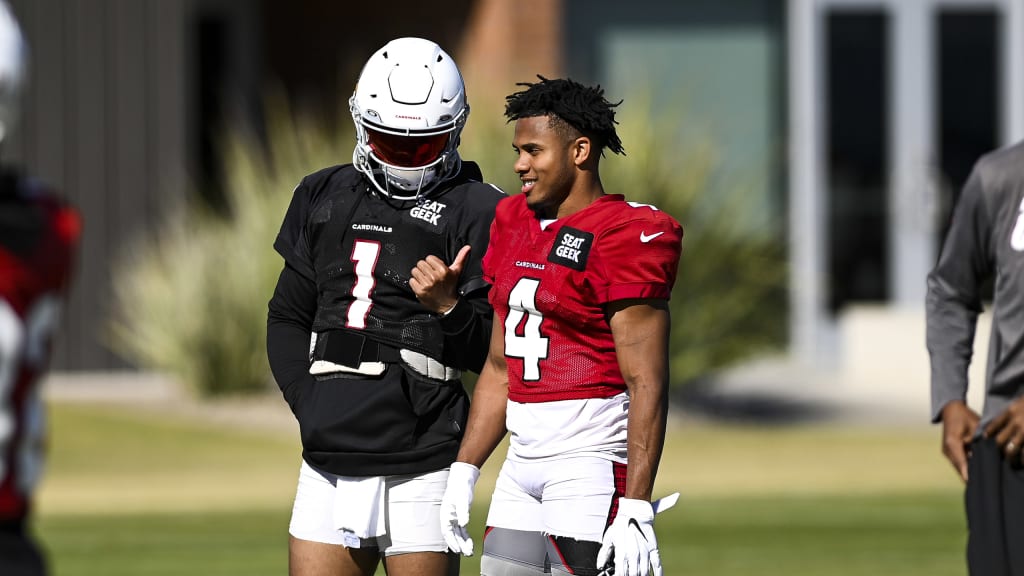 Arizona Cardinals' Trace McSorley, James Conner featured on 'Hard Knocks'