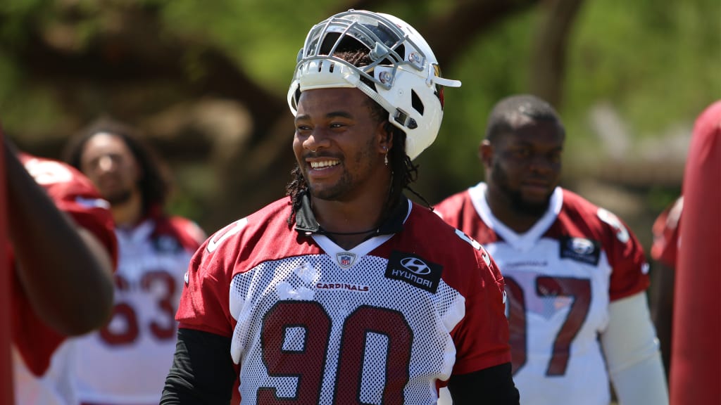 Miami Dolphins sign former Cardinals DL Robert Nkemdiche