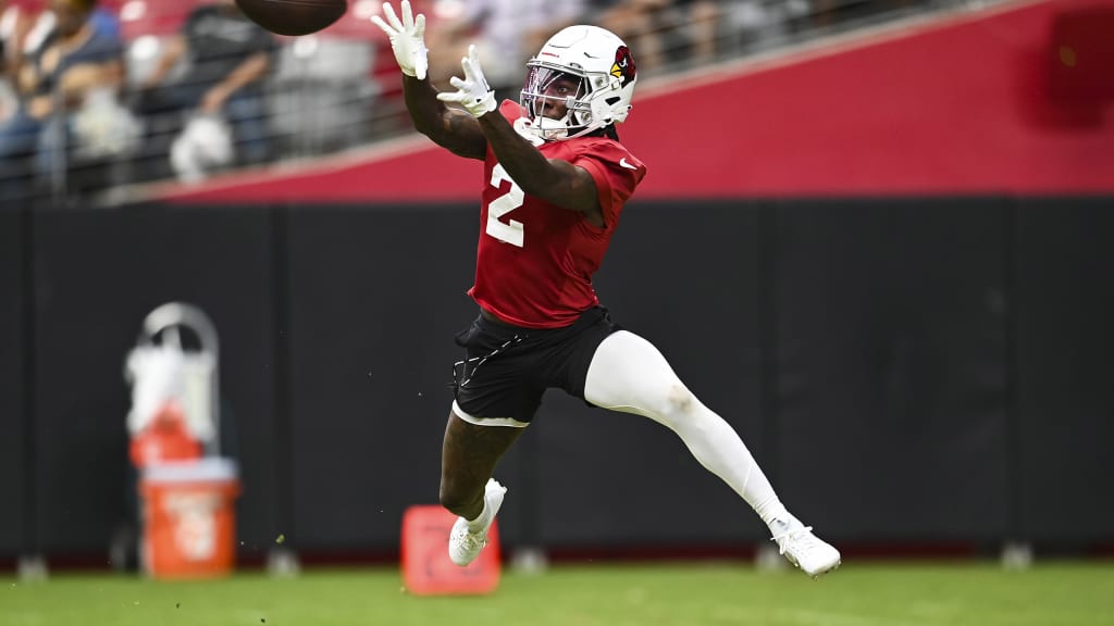 Arizona Cardinals training camp roster preview: WR Hollywood Brown