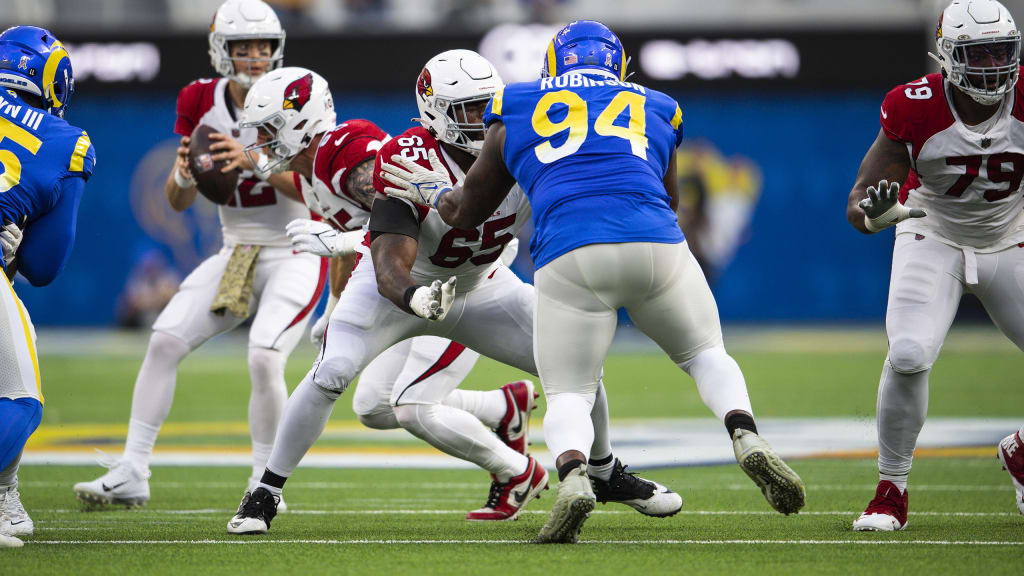 Arizona Cardinals sign OL Coward to active roster, cut K Tristan Vizcaino