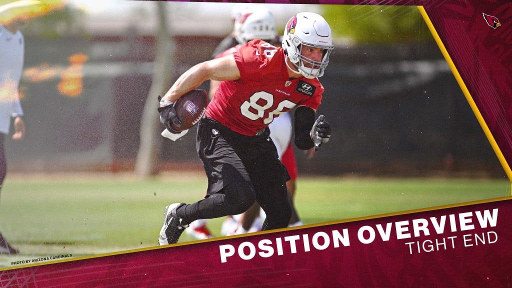 Cardinals Position Overview 2022: Running Back