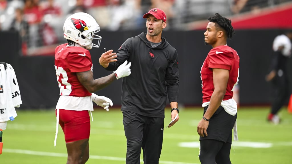 Fans of the Arizona Cardinals must hold themselves and team to higher  standard