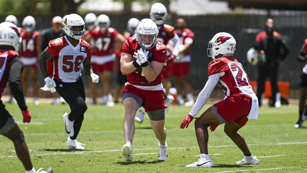 Michigan rookie scores TD on first career NFL catch 