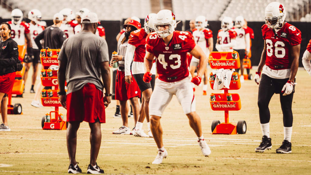 Arizona Cardinals tight end Bernhard Seikovits, of Austria, flips the  football as he sports the American flag and the Austrian flag on the back  of his helmet prior to an NFL preseason