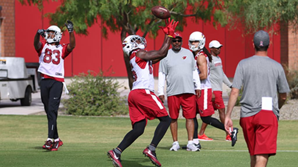 cardenales de michael floyd