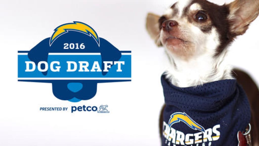 Chargers Dog Draft Prospects