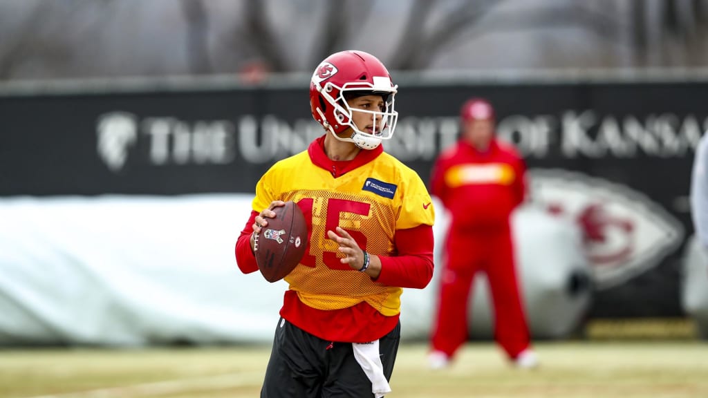 Patrick Mahomes, Chiefs QBs get harassed by bee during practice