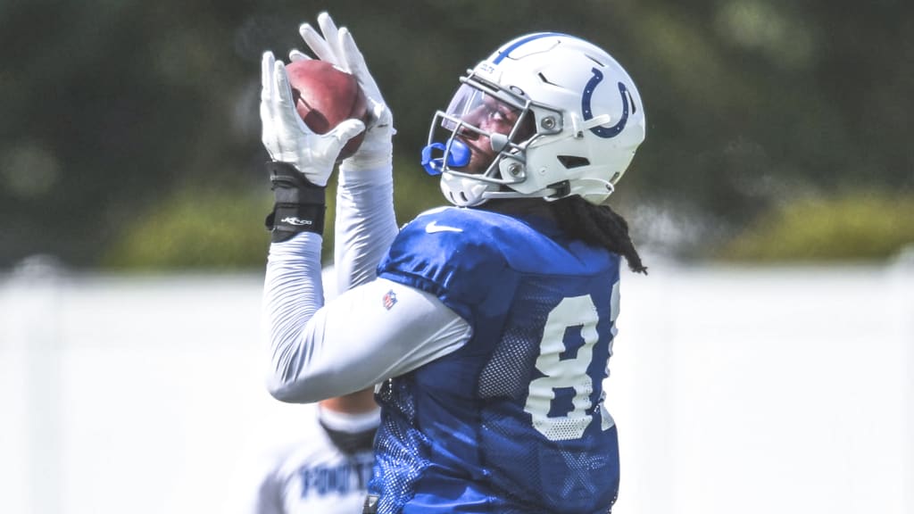 Indianapolis Colts tight end Farrod Green (41) in action against