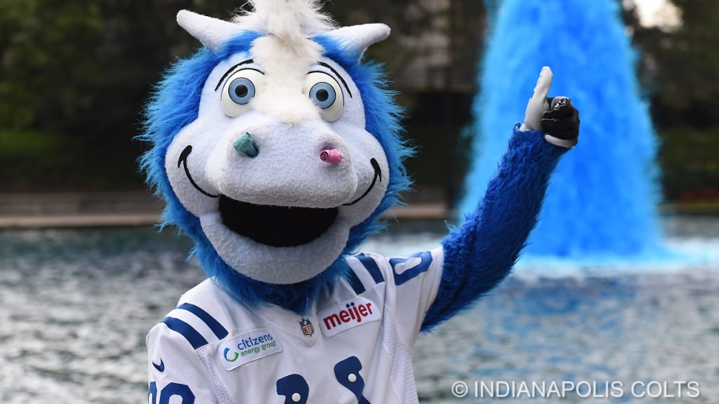 Blue Indianapolis Colts Mascot - Check this out! Leslie wore @colts gear to  @meijerstores and now she's going home with tickets to Sunday's game versus  the Raiders! Wear Colts gear when you