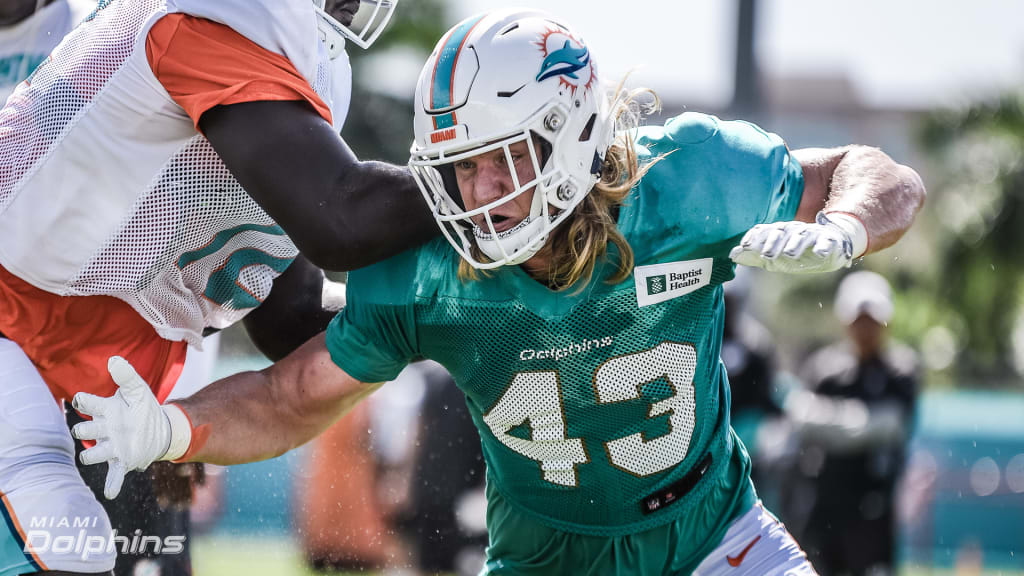 Dolphins designate Andrew Van Ginkel to return from IR - The Phinsider