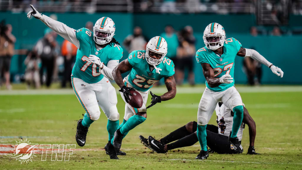 PHOTOS: Dolphins Cheer  Ravens vs. Dolphins - Week 10