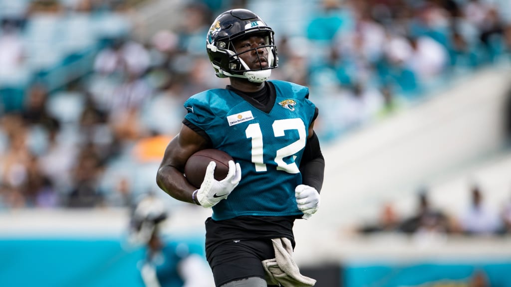 Hopeful Camp Surprises For The Jacksonville Jaguars 