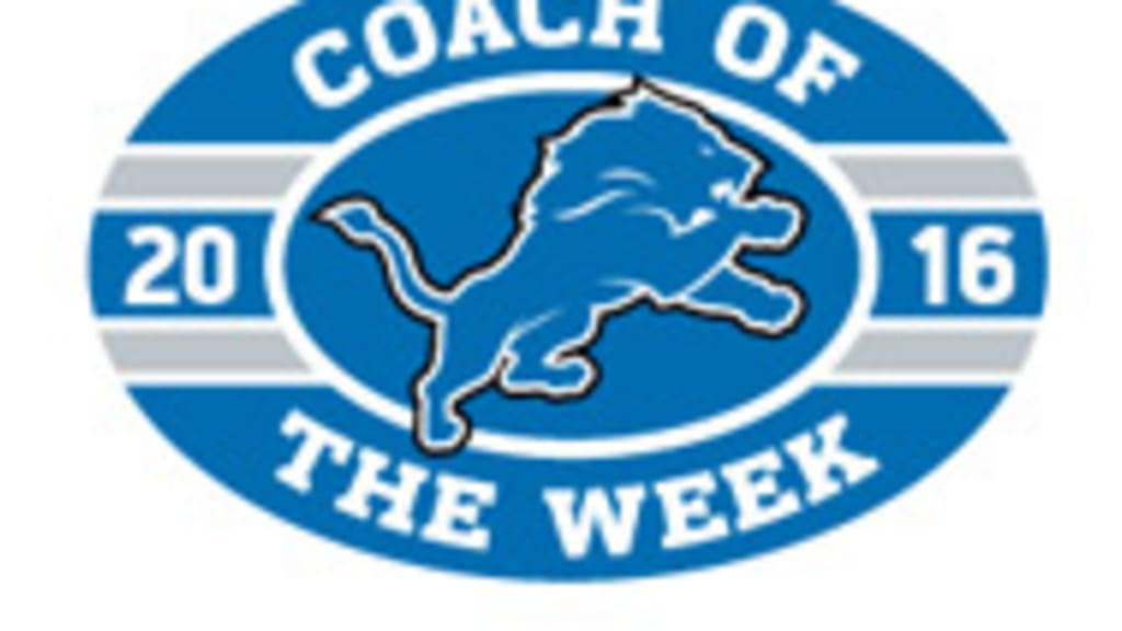 Detroit Lions Primary Logo Panel