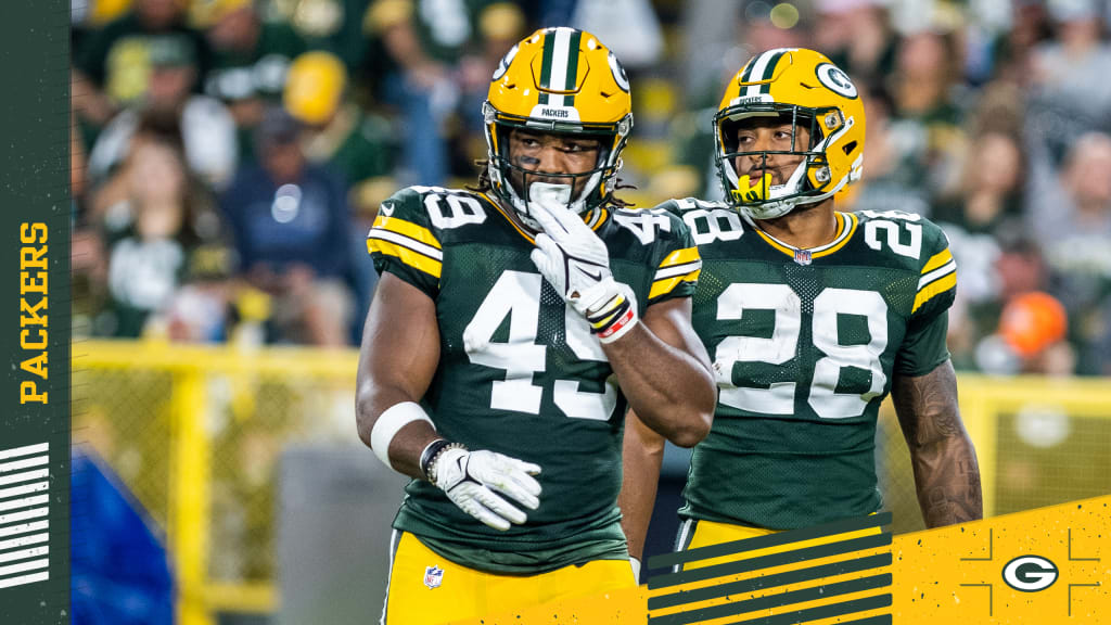 Green Bay Packers tight end Dominique Dafney comes in motion during News  Photo - Getty Images