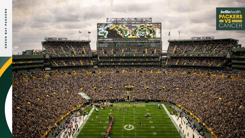 A Green Bay Packers fan on the field before an NFL game against