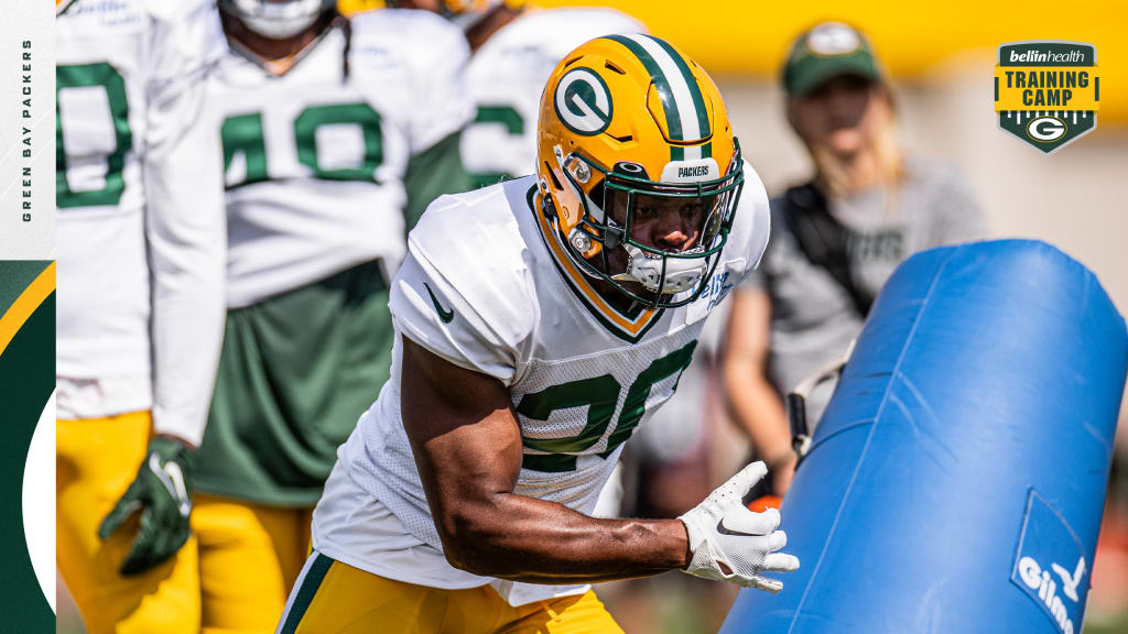 Green Bay Packers safety Rudy Ford (20) celebrates intercepting a