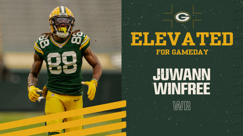 juwann winfree green bay packers