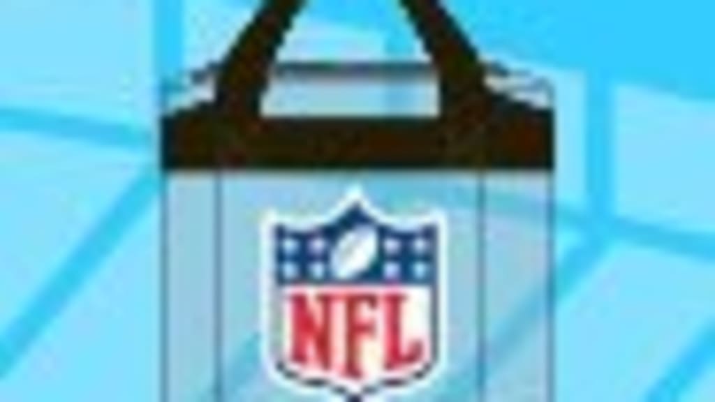 NFL Bag Policy