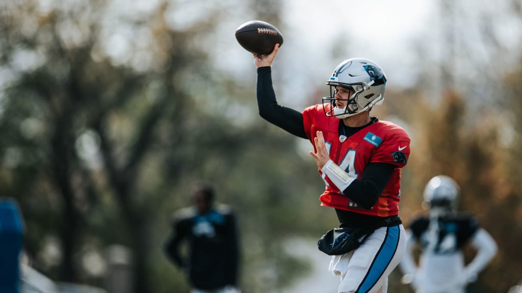 Wilks: Darnold will start for Panthers after bye