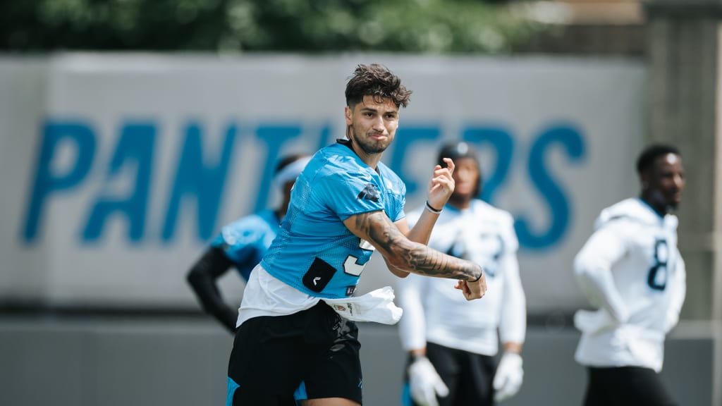 Carolina Panthers linebacker Eku Leota (46) lines up on defense