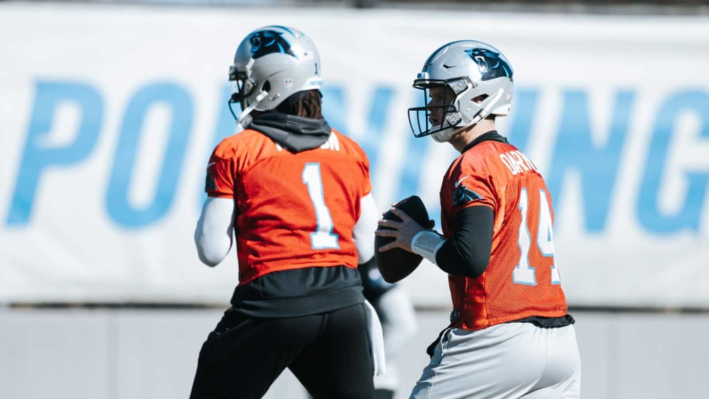 24 October 2013: A Cam Newton Fan holds a fat head of Newton