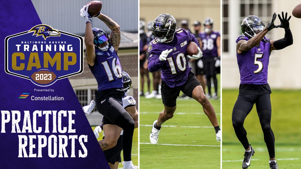 With Baltimore Ravens' depth tested, get to know the players who could step  into new roles 