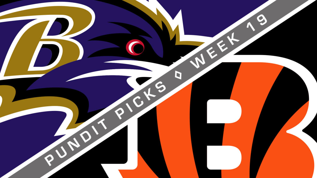 AFC North Standings Week 8: Bengals pull away, Ravens find a win